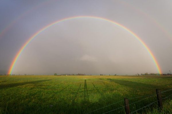 Stromsparen durch Beleuchtung Stromsparen durch Beleuchtung